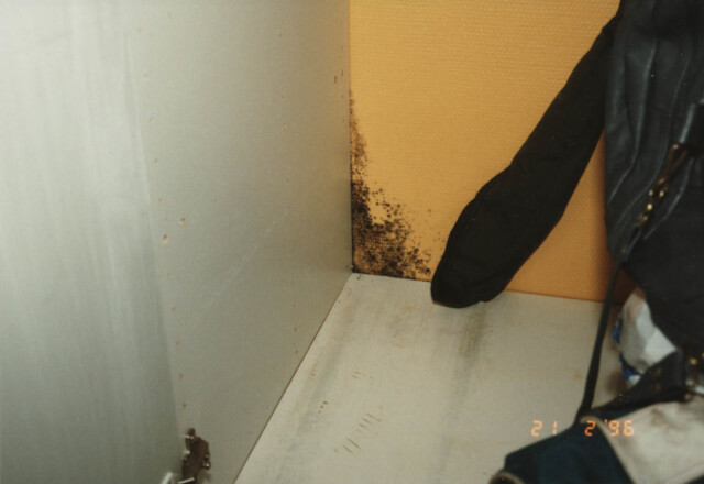MUGGSOPP: Muggsopp inne i skap på soverom Foto: SINTEF MUGGSOPP: Muggsopp inne i skap på soverom Foto: SINTEF